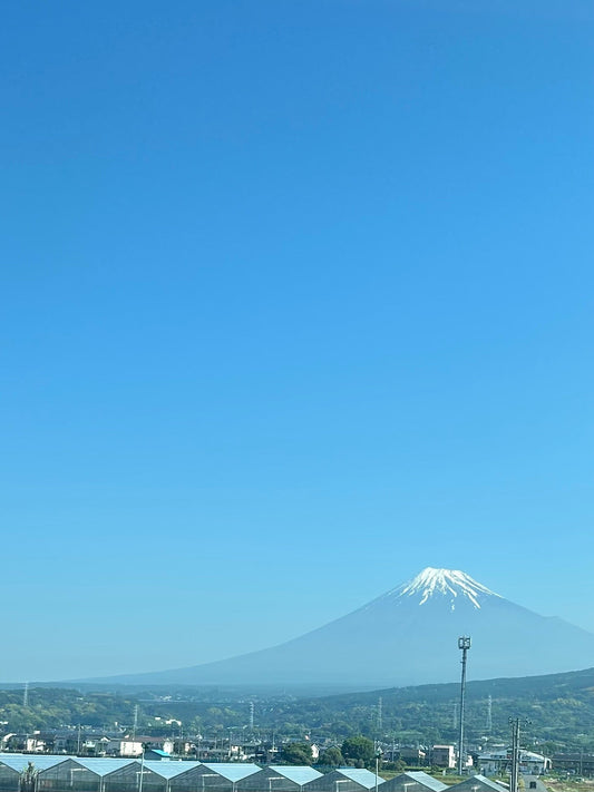 親族だって、ちゃんと礼儀って大事だよな — 『菊と刀』読んで思ったこと
